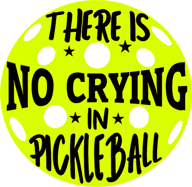 No Crying Pickleball Player Paddleball Lover Dink Funny Kids Hoodie