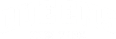 Newyork Queens Ny City New York T-Shirt