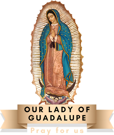 Our Lady Of Guadalupe Mary Catholic Religious Gift Button
