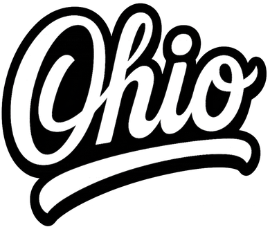 Ohio Script Logo Sports Team Fan College Varsity Hat