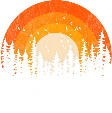 Onancock Virginia Va Gift Vintage 70s 80s 90s Retro Gift Women's T-Shirt
