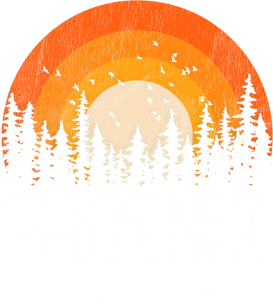Phoenix Arizona Az Vintage Retro Style City 70s 80s 90s Gift Cool Gift Toddler Hoodie