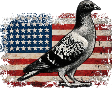 Pigeon Bird 4th of July USA Patriotic Gift pigeon USA flag Tumbler