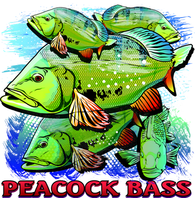 Peacock Bass Toddler T-Shirt