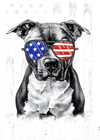 Pitbull Dad American Flag 4th Of July Dog Father's Days Sweatshirt