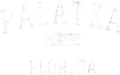 Palatka Florida FL Vintage Tank Top