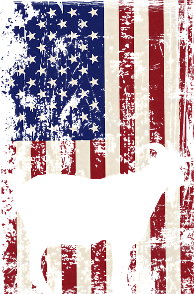 Patriotic Goat 4th of July American Flag Women's Long Sleeve Shirt
