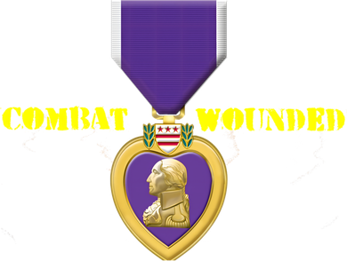 Purple Heart Combat Veteran Cool Gift Women's Hoodie