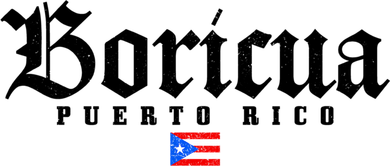 Puerto Rico Boricua Vintage Puerto Rican Flag Pride Gift Doddie Hoodie