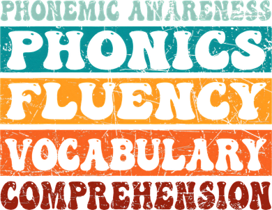 Phonemic Reading Teacher Science of Reading Phonics Tumbler