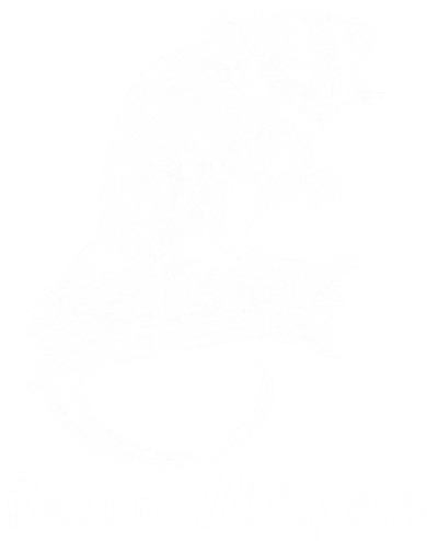Possum Whisperer, Opossum Lover Doddie Hoodie