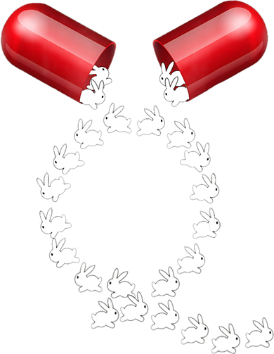 Qanon Follow The White Rabbit Red Pill Q Anon Pilled Women's Hoodie