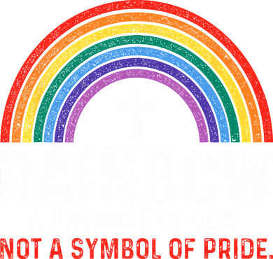 Rainbow A Promise Of God Not A Symbol Of Pride Button