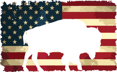 Retro Buffalo American Flag USA Bison Baby Bodysuit