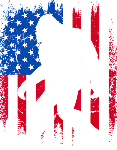 Retro Bigfoot Silhouette USA Flag Sasquatch Lovers July 4th Doddie Hoodie