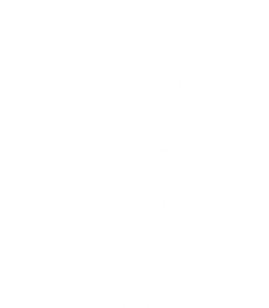 Retro Cool St John Usvi Beach Palm Tree Novelty Souvenir Gift Backpack