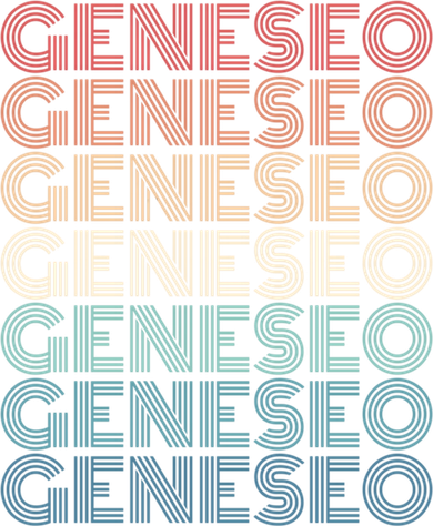Retro Geneseo New York Gift Toddler Sweatshirt