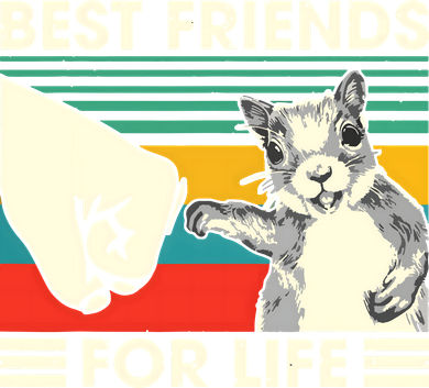 Retro Vintage Squirrel Best Friend For Life Fist Bump Women's Sweatshirt