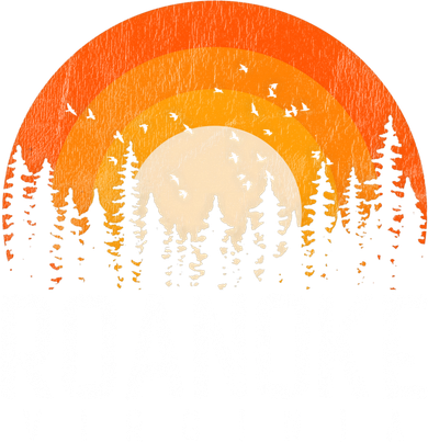 Roanoke Virginia Va Funny Gift Vintage 70s 80s 90s Retro Gift Cute Gift Kids Hoodie
