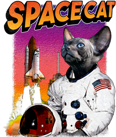 Space Cat Women's Hoodie