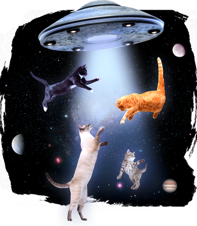 Space Cats UFO Women's Long Sleeve Shirt
