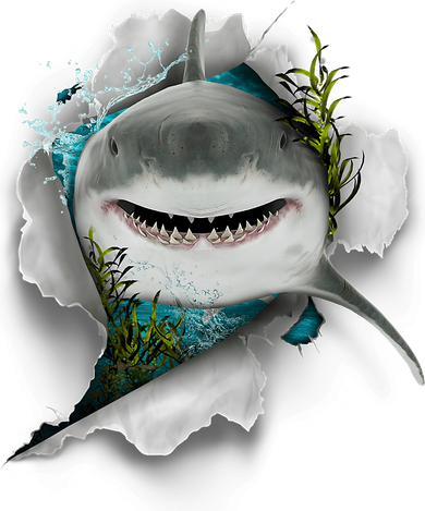 Shark Great White Shark Deep Sea Fishing Funny Shark Women's Tank Top