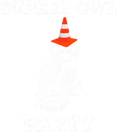 Superb Owl Party What We Do in the Shadows Owl Lover Coaster