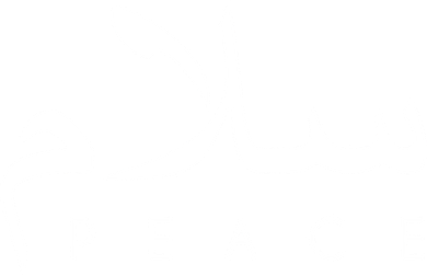 Salam Peace Arabic Calligraphy Funny Gift Kids T-Shirt