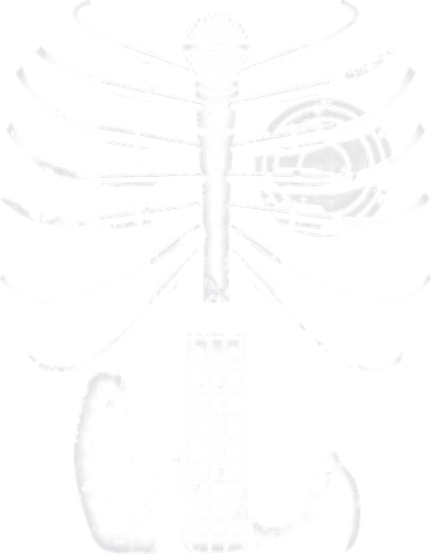 skeleton playing guitar electric Acoustic Classical Button
