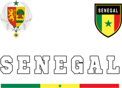 Senegal Sport/soccer Jersey Tee Flag Football Dakar Gift Bucket Hat