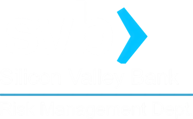 Svb Silicon Valley Bank Risk Management Dept Kids Long Sleeve Shirt