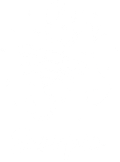 Scorpio Zodiac Sign Gift Women's Long Sleeve Shirt