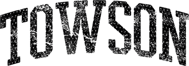 Towson Arch Vintage Retro College Athletic Sports Doddie Hoodie