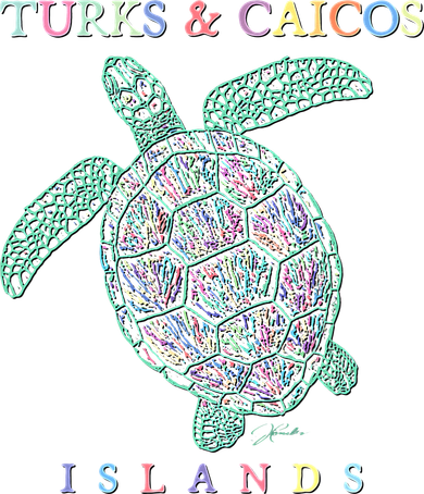 Turks & Caicos Islands Sea Turtle Kids T-Shirt