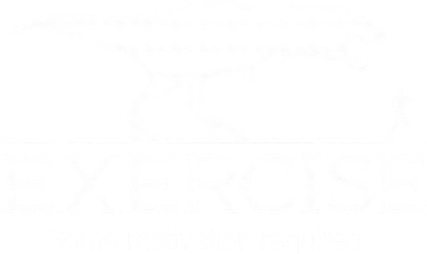 TRex Exercise Some Motivation Required Hoodie