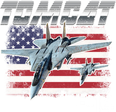 Tomcat F14 Fighter Jet Ornament