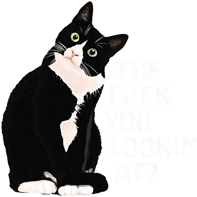 The Fuck You Lookin At Funny Vulgar Novelty For Cat Lovers Kids Sweatshirt
