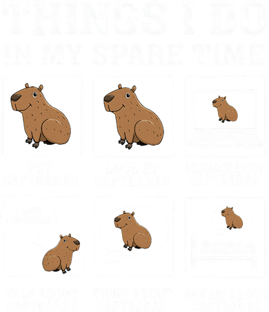 Things I Do In My Spare Time Capybara Funny Rodent Women's Hoodie