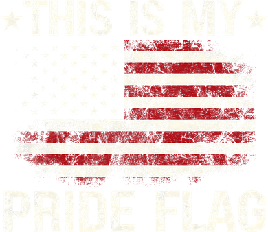 This Is My Pride Flag USA American 4th of July Patriotic Toddler Hoodie