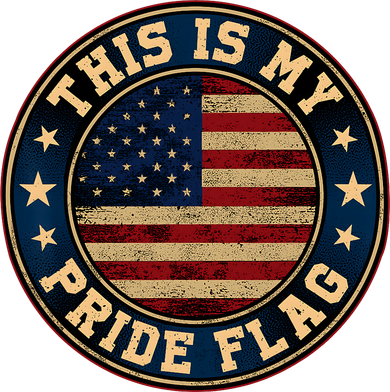 This Is My Pride Flag American Flag Men Women Hooded Wearable Blanket
