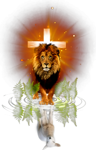 The Lion And The Lamb Water Reflection Jesus Christian Women's Sweatshirt