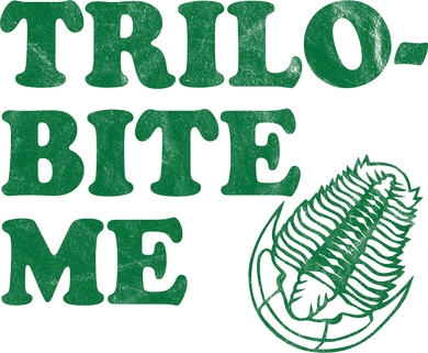 Trilobite Me Funny Paleontologist Toddler Hoodie