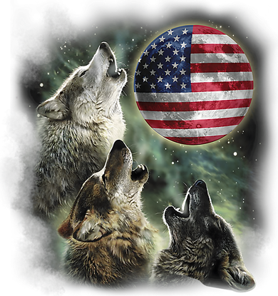 The Mountain Three Wolfs American Flag Moons Kids T-Shirt