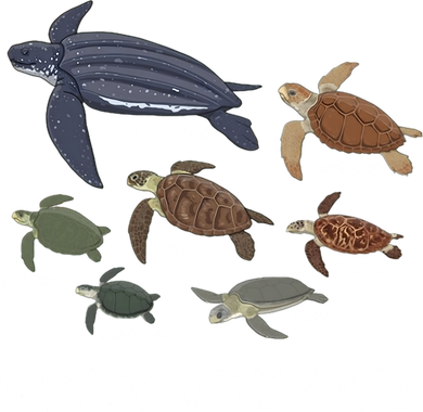 Turtles Of The World Celebrate Diversity Tortoise Sea Turtle Gift Toddler T-Shirt