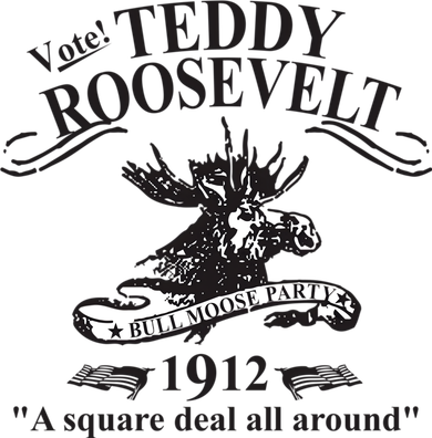 Teddy Roosevelt Bull Moose Party 1912 Presidential Campaign Kids Hoodie