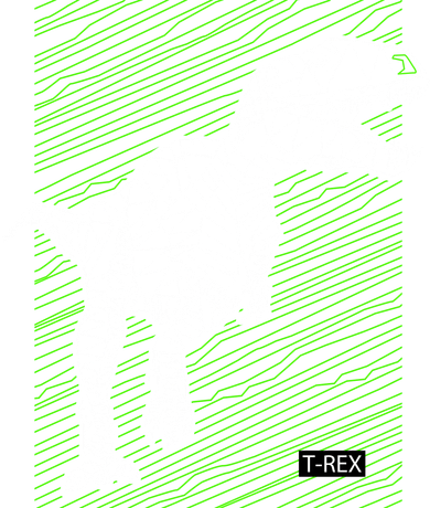 T Rex Illustration Hat