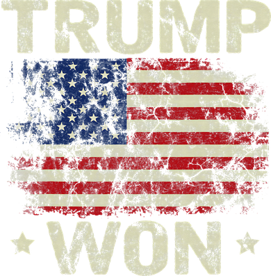 Trump Won 4th of July American Flag Kids T-Shirt