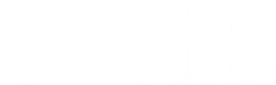 Texas Y'all Women's V-Neck T-Shirt