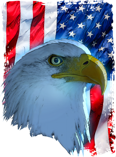 USA American Flag Eagle Distressed Style Toddler Hoodie