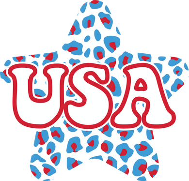 USA Star 4th Of July Festive Holiday Toddler Hoodie